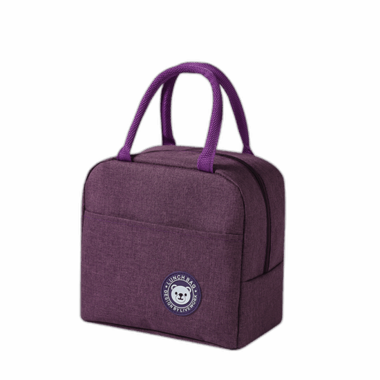 Kids insulated lunch bag with lunch box cooler design