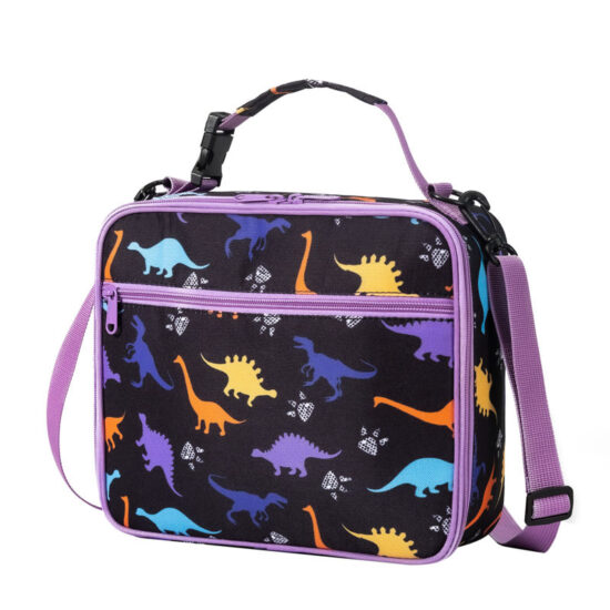 Colorful insulated lunch box backpack with thermal lining