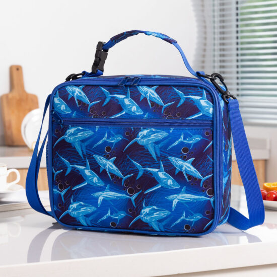 Colorful insulated lunch box backpack with thermal lining