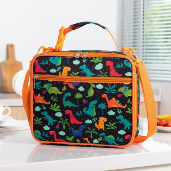 Colorful insulated lunch box backpack with thermal lining