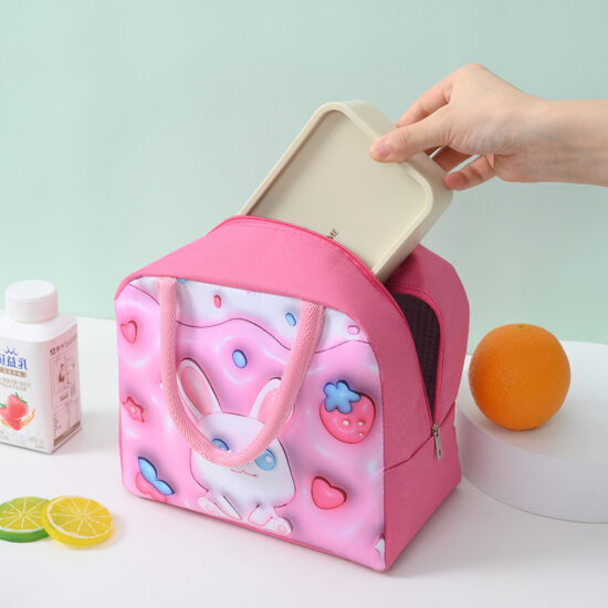 Insulated waterproof double layer lunch bag with handle