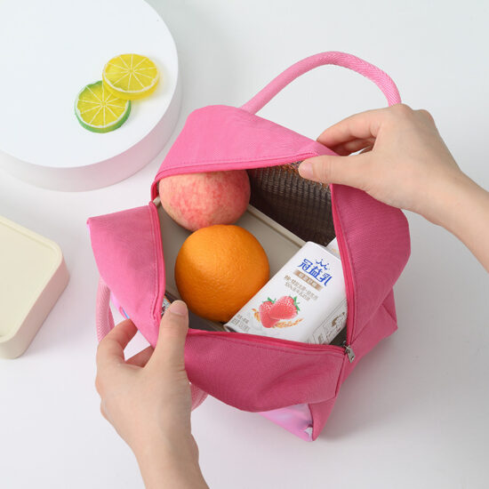Insulated waterproof double layer lunch bag with handle