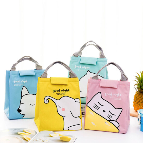 Insulated waterproof double layer lunch bag with handle