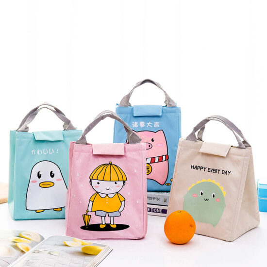 Insulated waterproof double layer lunch bag with handle