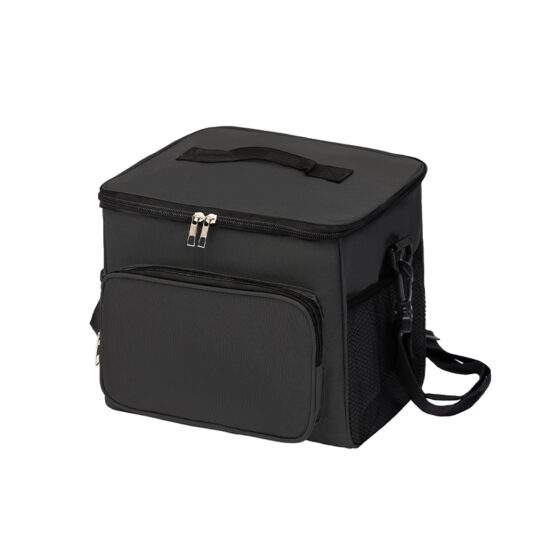 Reusable Insulated Lunch Box for Fresh Meals

