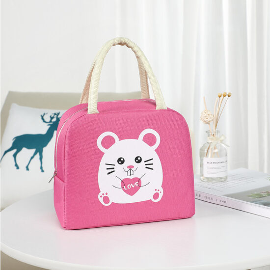Kids insulated cooler lunch bag with handle and zipper