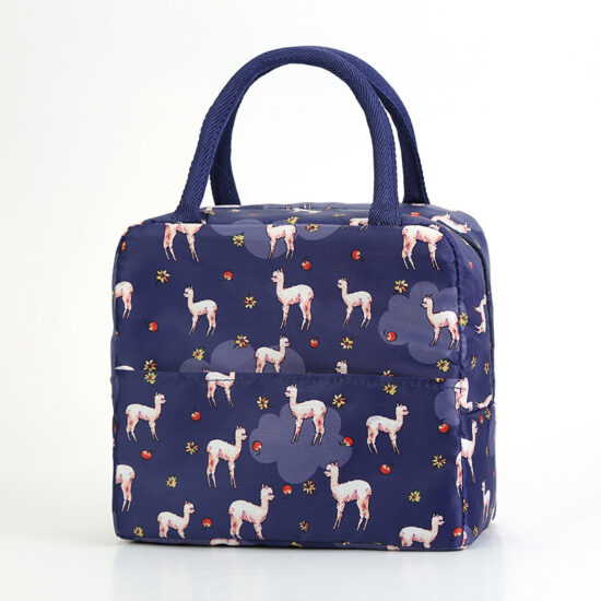 Kids insulated cooler lunch bag with handle and zipper