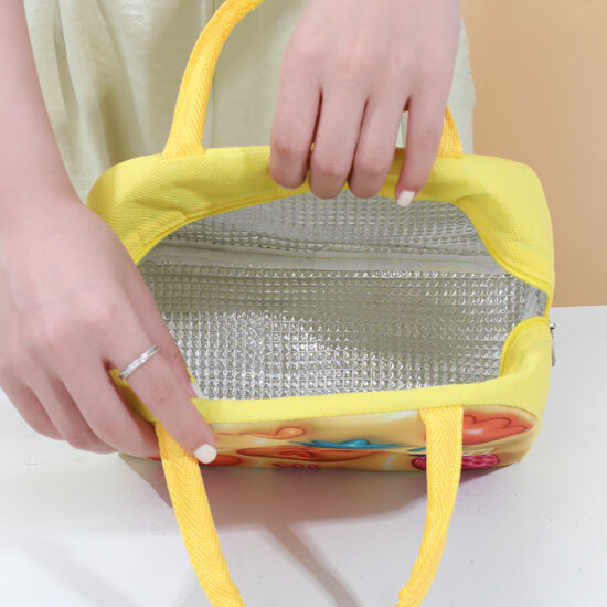 Insulated kids school lunch bag with handle and zipper