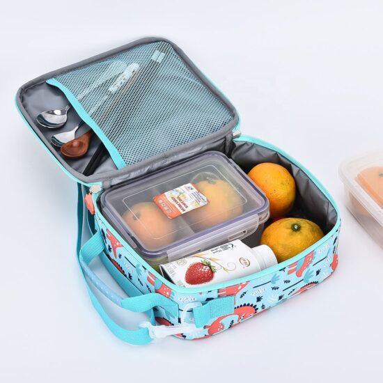 Insulated lunch box organizer backpack with thermal lining