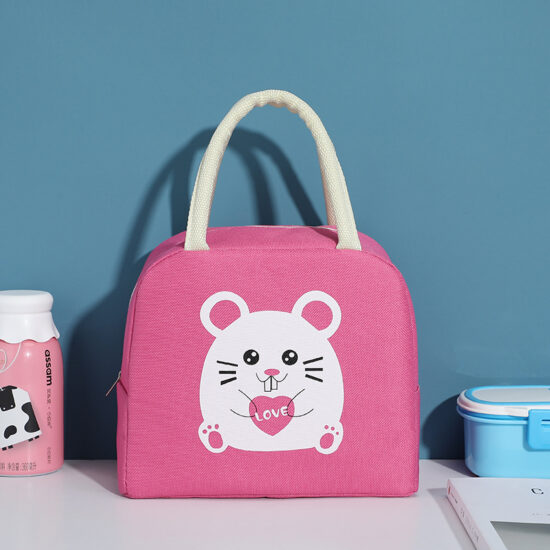 Office and kids insulated lunch box bag with handle