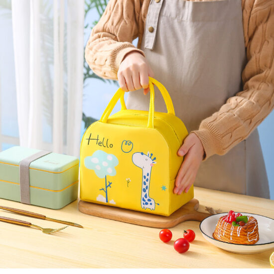 Office and kids insulated lunch box bag with handle