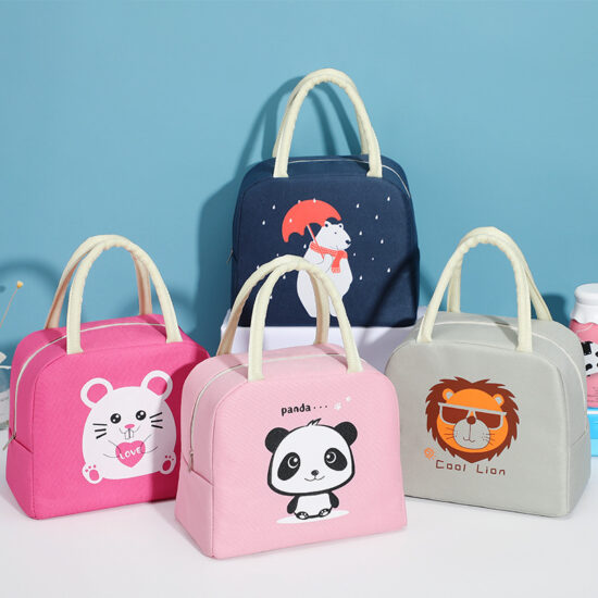 Office and kids insulated lunch box bag with handle
