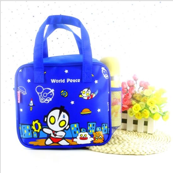 Portable insulated lunch bag for students outdoor use