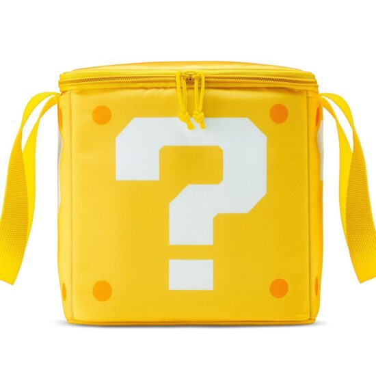 Portable insulated lunch bag for students outdoor use