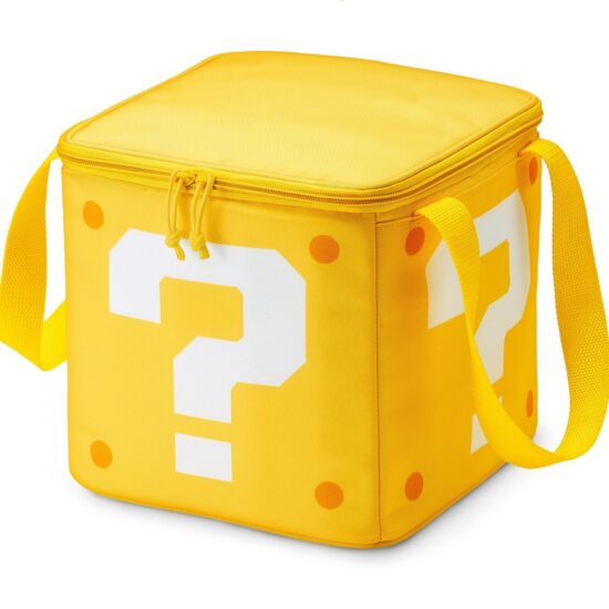 Portable insulated lunch bag for students outdoor use