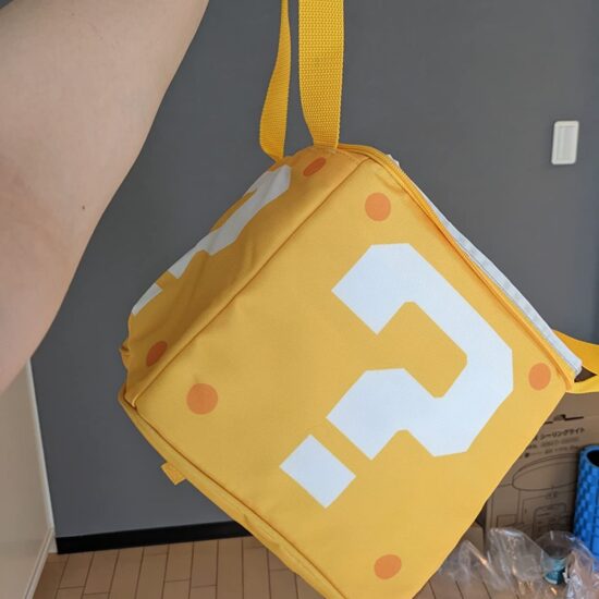 Portable insulated lunch bag for students outdoor use