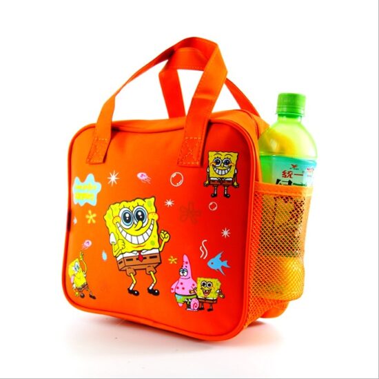 Portable insulated lunch bag for students outdoor use