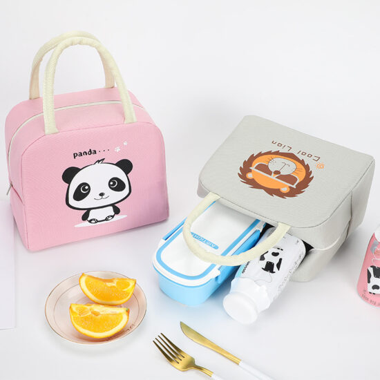 Insulated student school lunch bag for travel and picnic