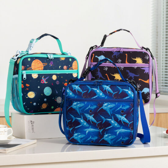 Insulated student school lunch bag for travel and picnic