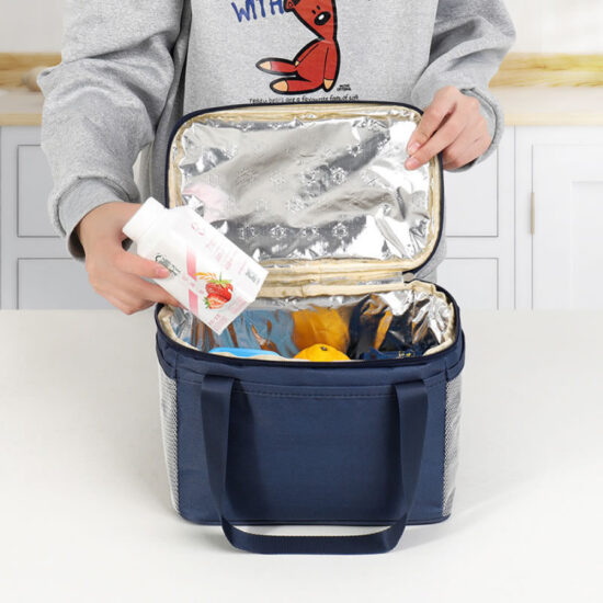 Fashionable snack and beverage cooler for kids

