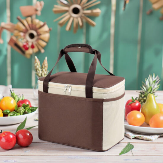 Fashionable snack and beverage cooler for kids

