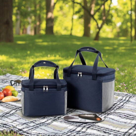 Fashionable snack and beverage cooler for kids

