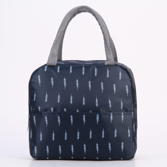 Insulated lunch cooler bag for adults and kids