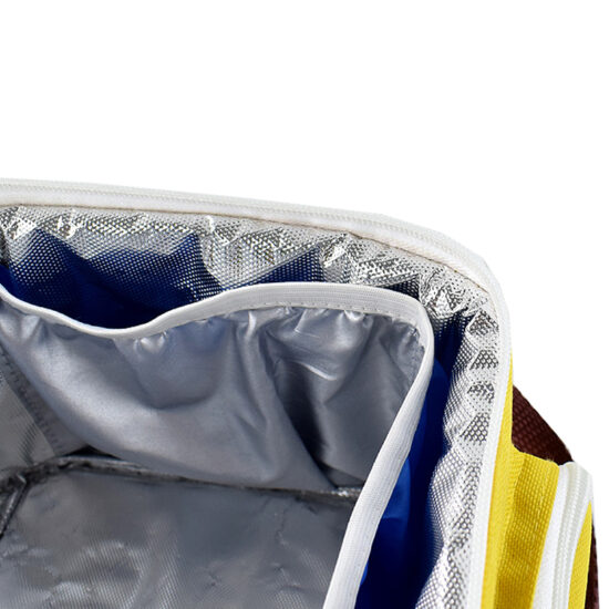 Custom adult picnic insulated cooler tote