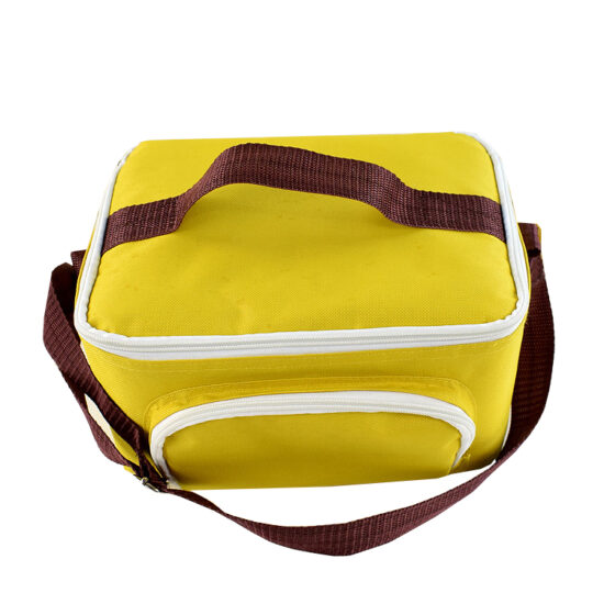 Custom adult picnic insulated cooler tote