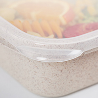 Custom reusable plastic lunch food container wholesale