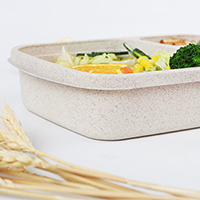 Custom reusable plastic lunch food container wholesale