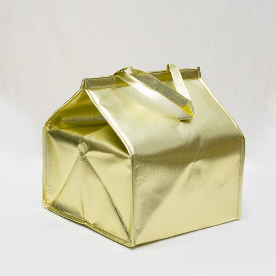 Adult insulated hot food cooler bag