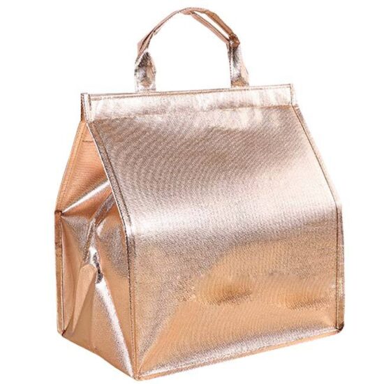 Adult insulated hot food cooler bag