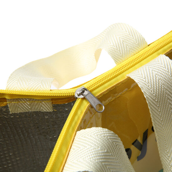 Women’s stylish insulated picnic cooler tote