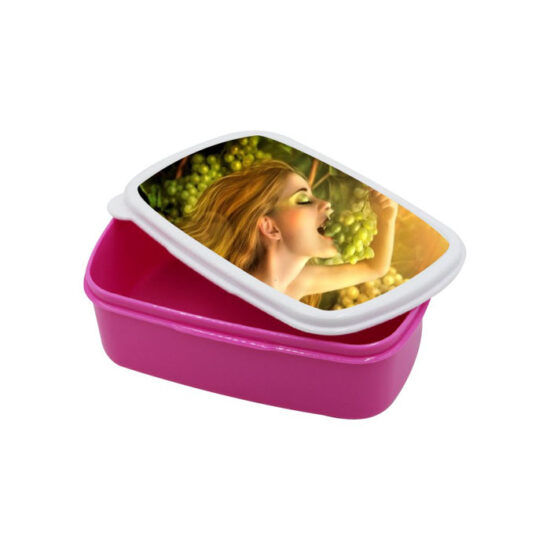 Custom wholesale adult lunch box set with fork
