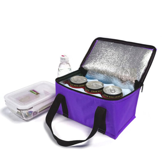 Reusable insulated waterproof lunch tote